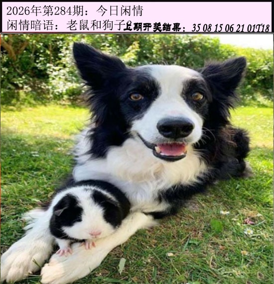 123开奖图文资料