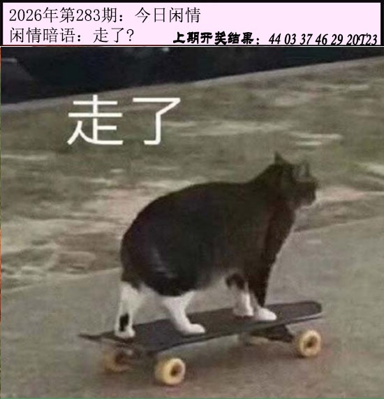 123开奖图文资料