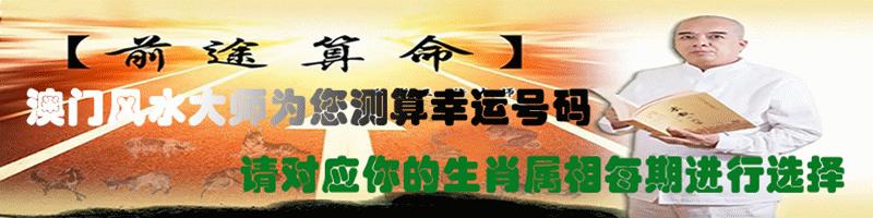 123开奖图文资料