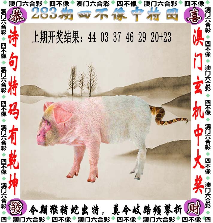 王中王图文资料