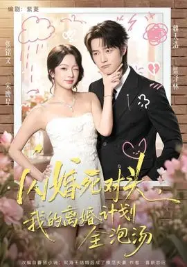 闪婚死对头，我的离婚计划全泡汤
