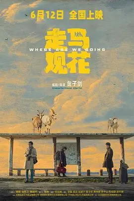 走马观花预告片