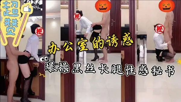爆操公.司新来的黑丝长腿王秘书，这身材太迷人了，口爆后入狂射她