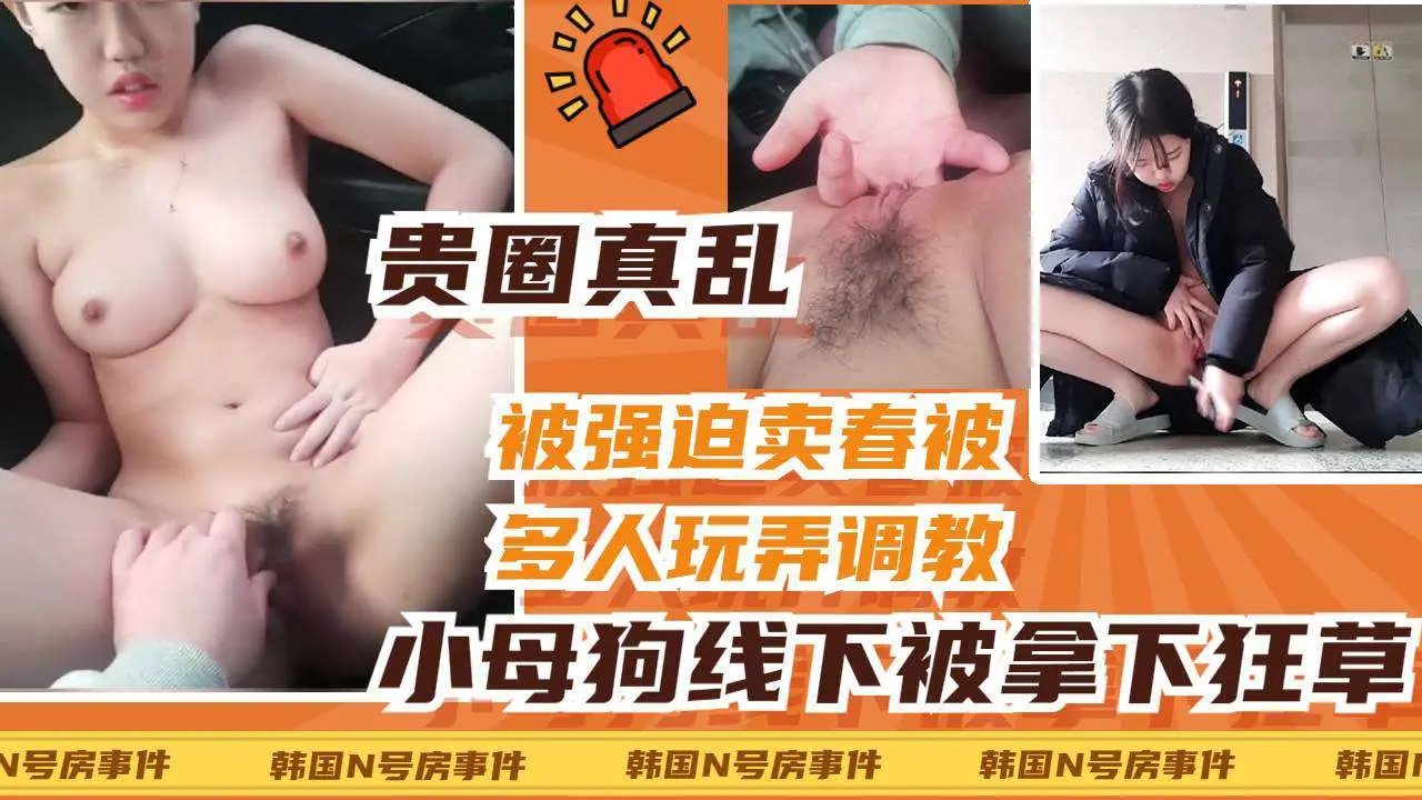 [SSNI-888] 清纯校花被老司机线下拿下，车震爆操狂扣骚穴内射