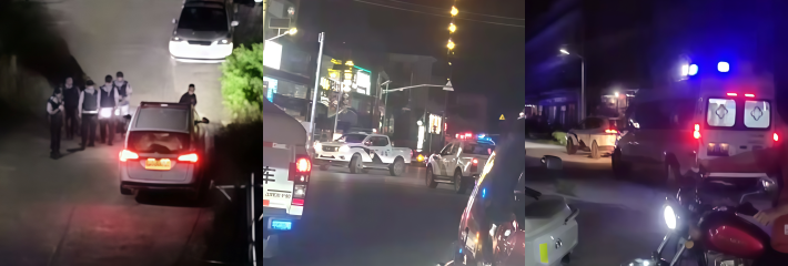 广东揭阳枪击案 卢飞鹏 毒死圣杰的牛 还半夜叫人暴打 老实人黑市弄来猎枪连开8枪 当场3人死亡